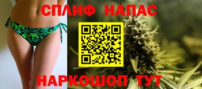 гашик Коммунар